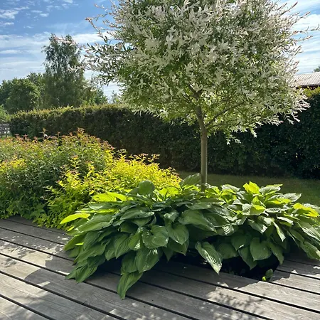 Aeru ヴィラ Lindi